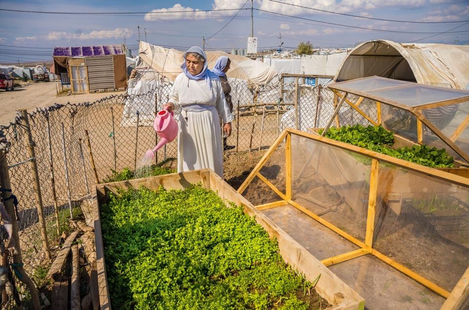 Your gift of $35 will help farming families like Layla’s reap a plentiful harvest as we provide tools, seeds, and training, and let them know that an abundant spiritual harvest also awaits those who trust in Christ.