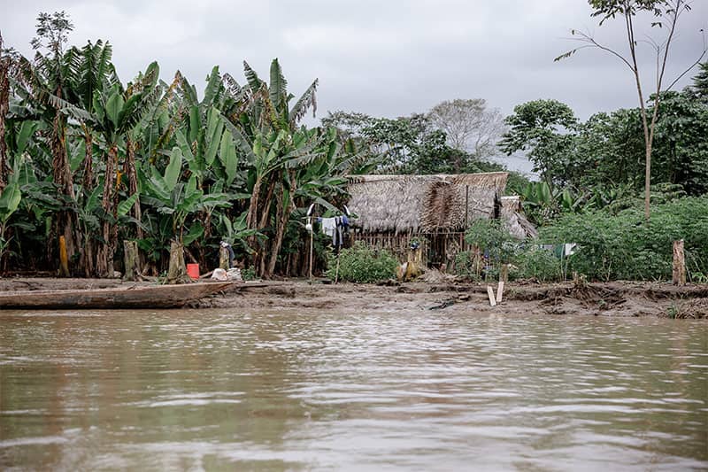 A hut in front of a forest.