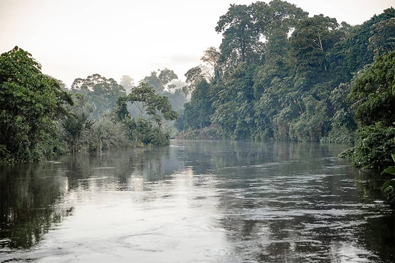 River with surrounding forest.