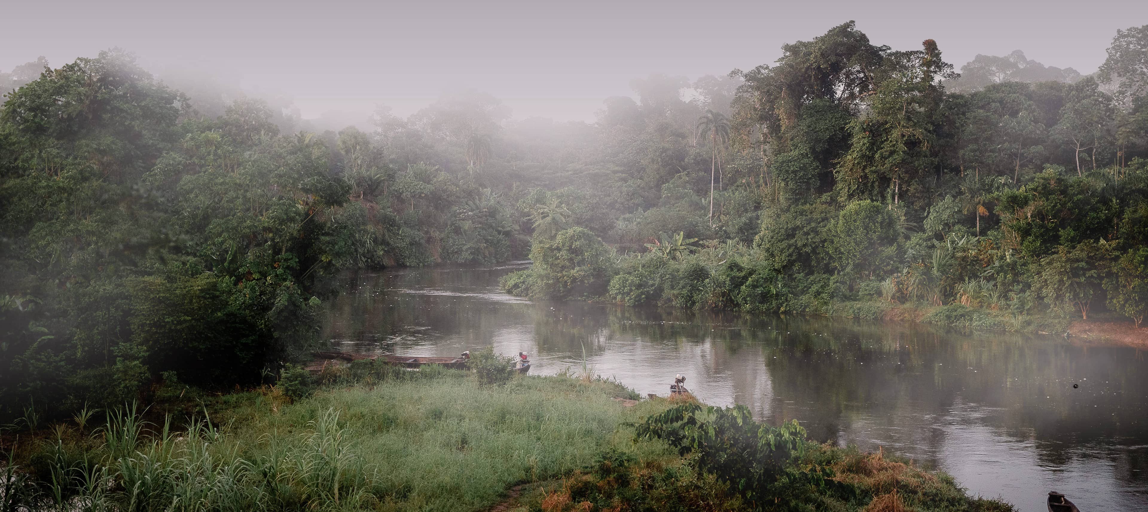 Jugle with canoes parked along the side of a river.