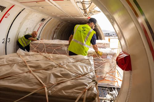 Inside view of airplane being loaded with cargo.