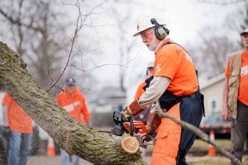 Volunteer in orange shirt using chainsaw on tree.