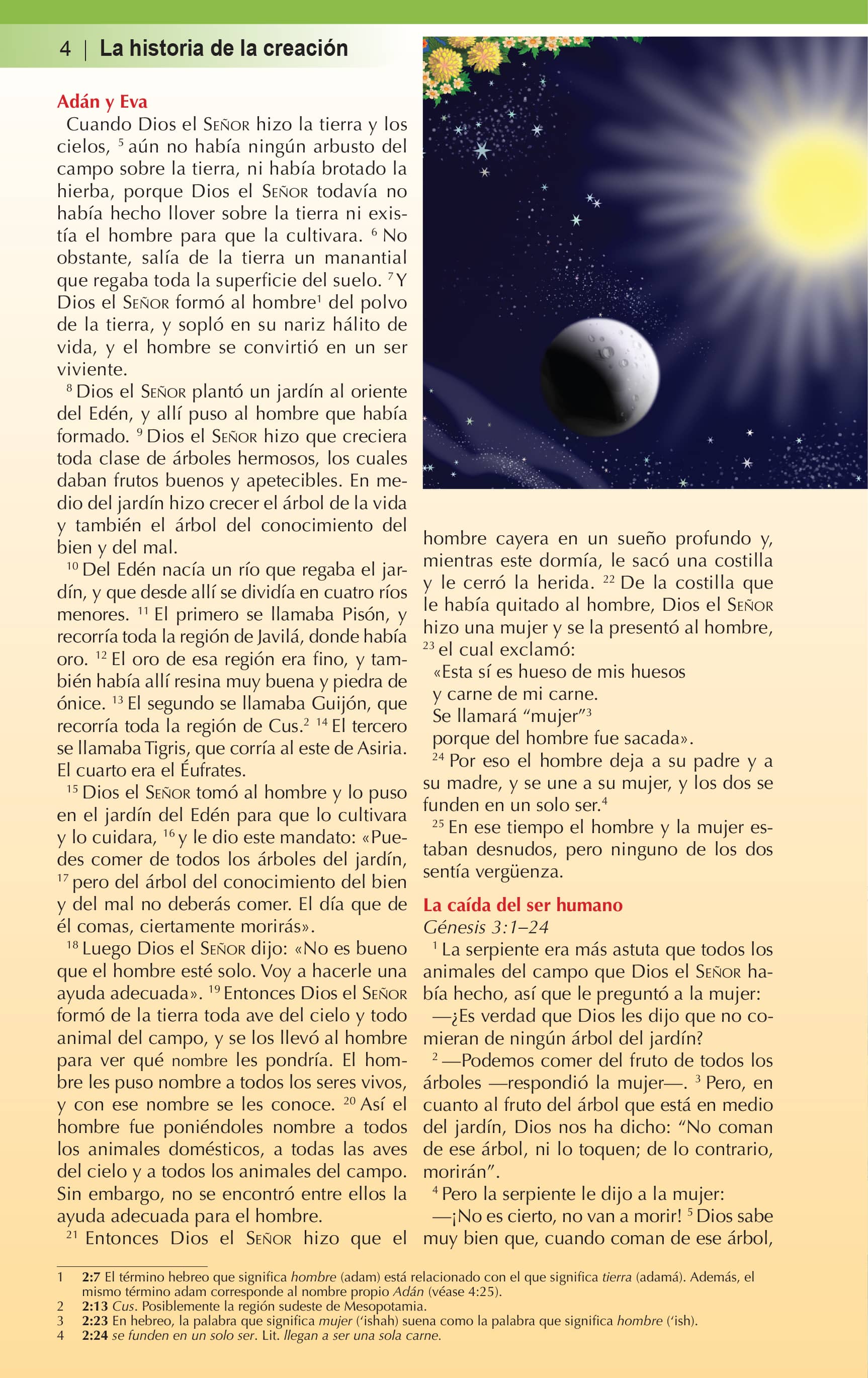 New Testament, page 8